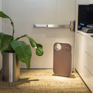 Review Máy Lọc Không Khí, Top 9 Máy Lọc Không Khí Đáng Mua Nhất Hiện Nay 15 máy lọc không khí coway ap - 10008dh