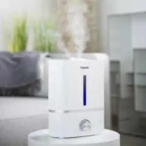 Cách Tạo Ra Không Khí Sạch Trong Nhà Bạn 8 cách tạo ra không khí sạch bằng beurer lb45