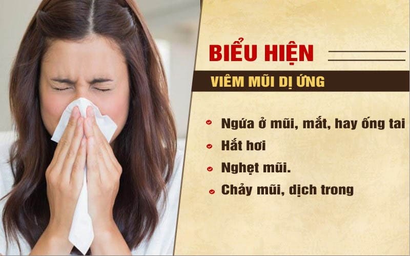 Chuẩn Đoán Và Điều Trị Viêm Mũi Dị Ứng 3 viêm mũi dị ứng
