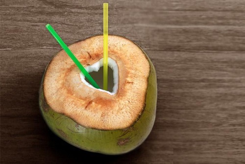 uống liên tục mỗi ngày 1 quả dừa, bạn sẽ nhận được cái kết ngọt lịm 21