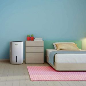 Lý Giải Vì Sao Nhu Cầu Mua Máy Hút Ẩm Tăng Cao Dịp Cận Tết? 10 mua máy hút ẩm cận tết