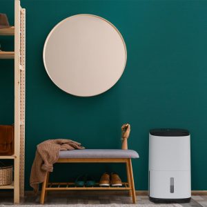 Lý Giải Vì Sao Nhu Cầu Mua Máy Hút Ẩm Tăng Cao Dịp Cận Tết? 8 lý giải vì sao nhu cầu mua máy hút ẩm tăng cao dịp cận tết?