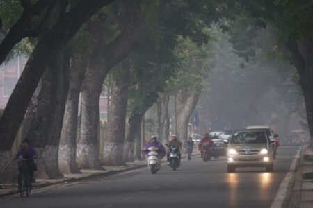 Khi Nào Nên Sử Dụng Máy Hút Ẩm? 5 khi nào nên sử dụng máy hút ẩm