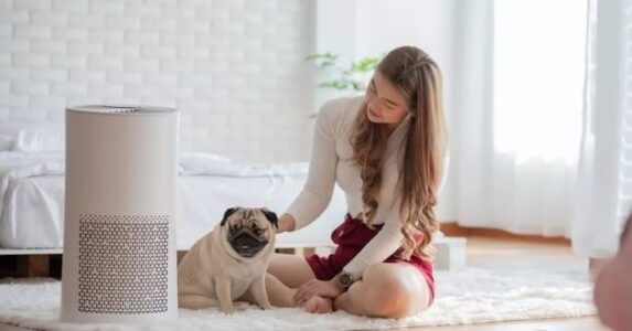 cách tạo ra không khí sạch